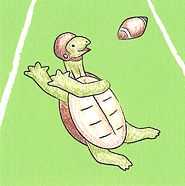 Turtle catching football illustration