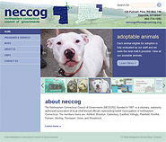 Website Design for NECCOG