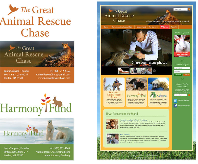 The Great Animal Rescue Chase Identity Materials