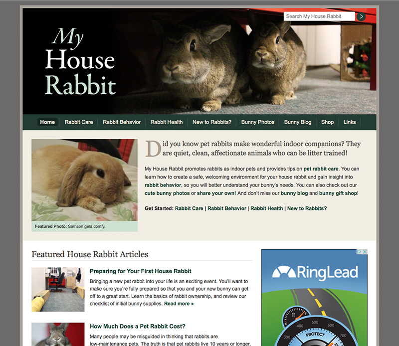 My House Rabbit Website Design